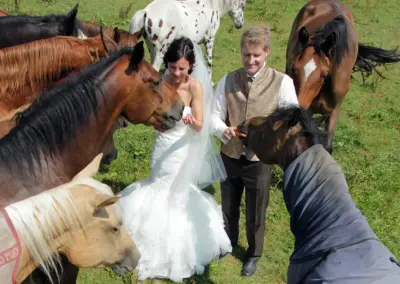 Brautpaar mit Pferden am Hochzeitstag.